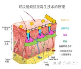 电流美容仪有副作用吗_美容仪微电流_微电流美容仪副作用