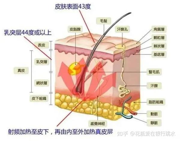 美容电流仪器_微电流美容仪副作用_美容仪微电流