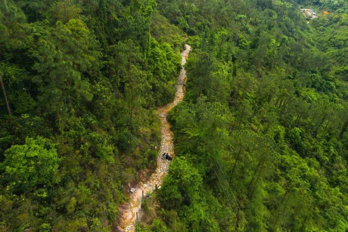 石景山区体育馆位置_石景山体育中心改扩建方案_石景山体育中心