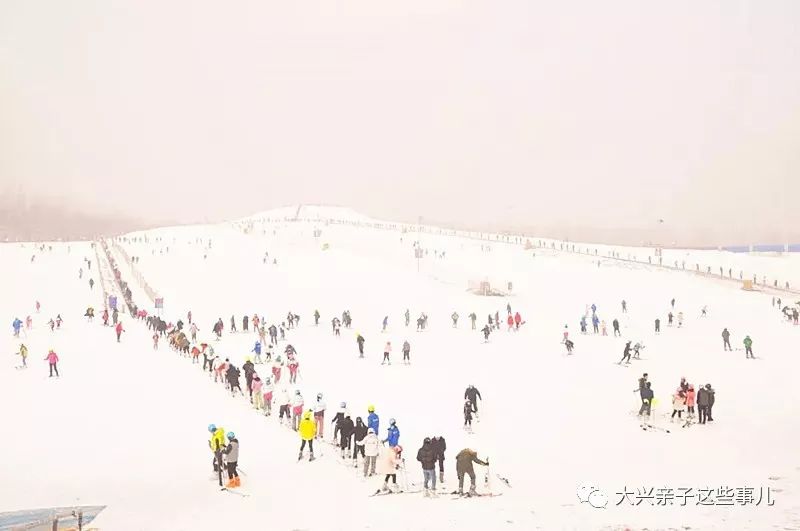 丰台雪乡冰雪嘉年华_丰台体育中心冰雪嘉年华_丰台区冰雪嘉年华