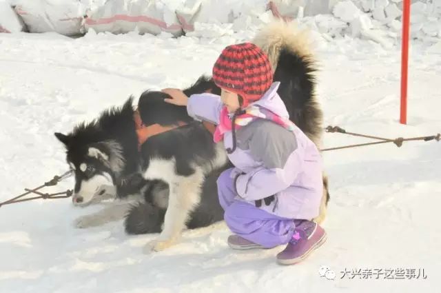 丰台体育中心冰雪嘉年华_丰台雪乡冰雪嘉年华_丰台区冰雪嘉年华